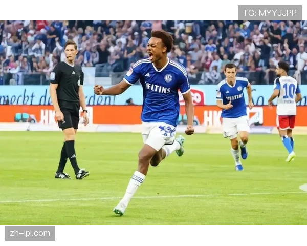 官方:沙尔克04中场韦德拉奥果因脚踝伤势提前告别本赛季 官方:沙尔克04中场韦德拉奥果因脚踝伤势提前告别本赛季